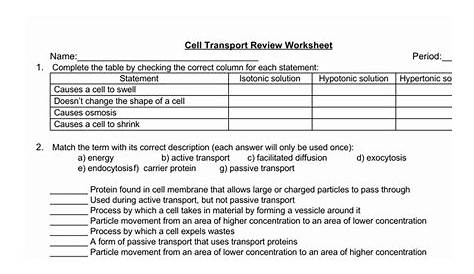 50 Passive Transport Worksheet Answers | Chessmuseum Template Library