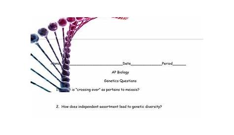 genetics worksheet biology