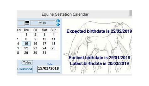 gestation chart for horses