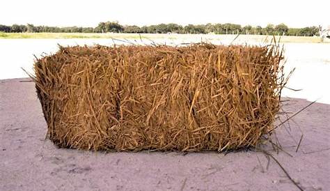 Wheat straw at Lowes.com