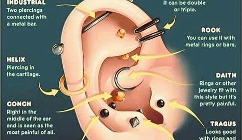 ear piercing chart for health and wellness