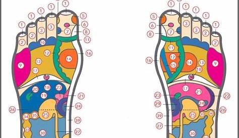 fertility chart foot woman reflexology