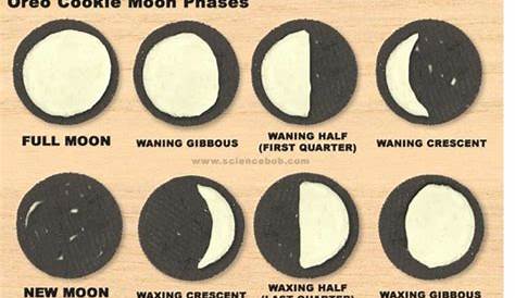 Lights, Camera, Learn: Oreo Moon Phase