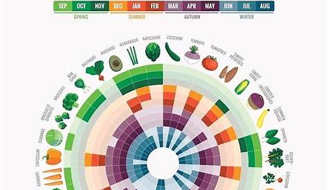 Cook Smarts' Vegetables by Month Chart (Australia) by cooksmarts