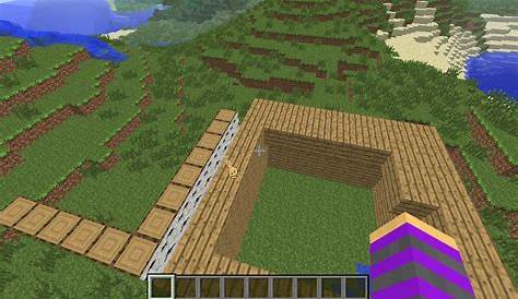baby ocelot buildin a house Minecraft Map
