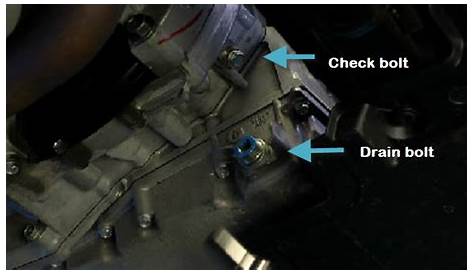 Honda Transmission Flush Or Drain And Fill - Best Drain Photos Primagem.Org