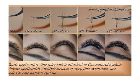 eyelash extension style chart