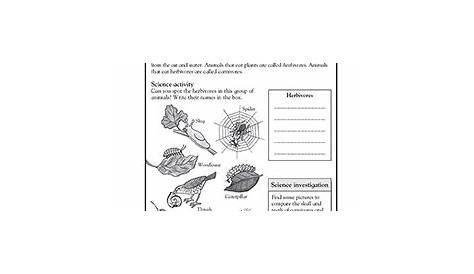 printable worksheets for 3rd grade science
