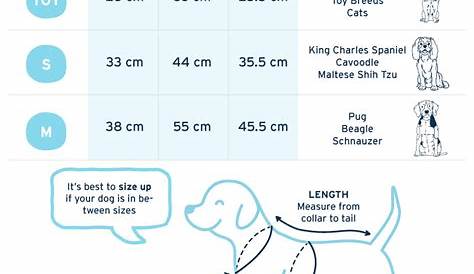 Pet Clothes Size Chart