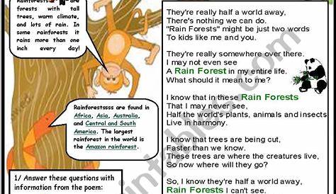 English worksheets: rainforests