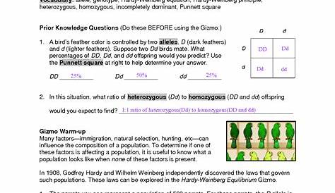 hardy weinberg worksheets answers