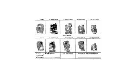 forensic science fingerprints worksheet