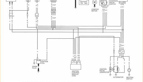 Ssr 125 Pit Bike Wiring Diagram - Wiring Diagram