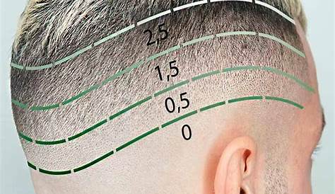 36+ clipper sizes haircut number system - PhillipAvaya