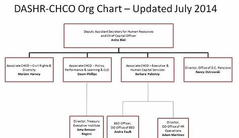 Human Resources and Chief Human Capital Officer (DASHR/CHCO)