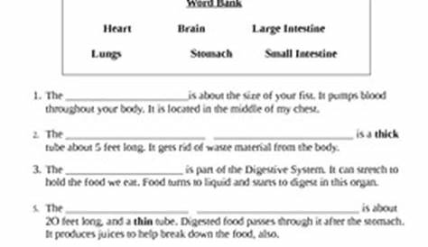 systems of the body worksheet