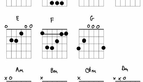 Basic Guitar Chords for Beginners - How to Learn Guitar Chords
