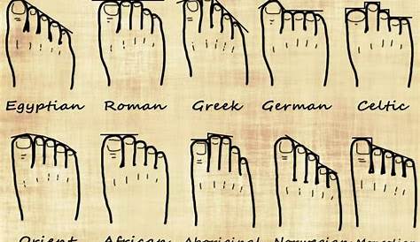 Your Foot Shape and Your Genealogy | Ancestral Findings | Dna genealogy