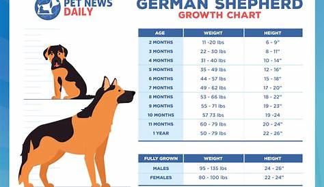weight chart for german shepherd puppies