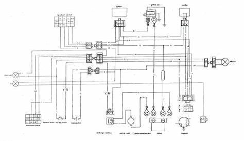 50Cc Chinese Scooter Wiring Diagram - Wiring Diagram