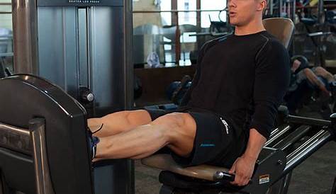 Seated Leg Press Exercise Guide and Video