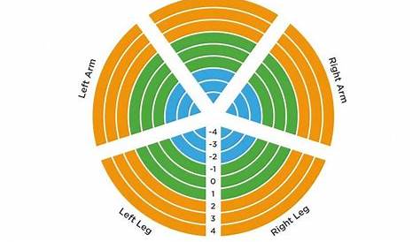 visceral fat level chart female