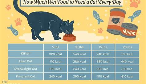 how much wet food should i feed my dog chart