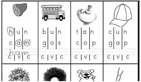 Consonant-Vowel-Consonant Words Worksheet for 1st - 2nd Grade | Lesson