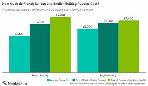 english bulldog price chart