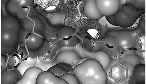 Composition of Matter Patent Claims - Smith & Hopen