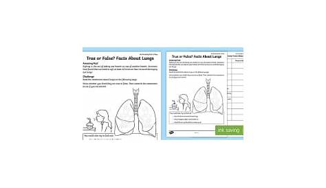 The Human Lungs KS2 Worksheet - Primary Resource