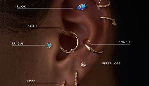 Ear Piercing Types Chart | Great Piercing Ideas
