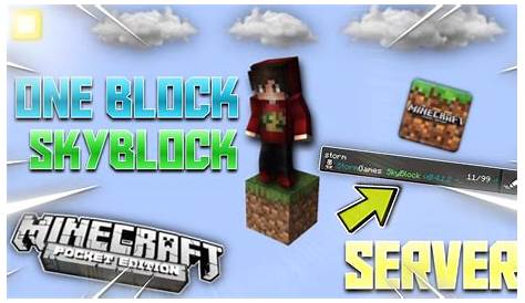 ONE BLOCK SKYBLOCK SERVER ( TEK BLOK ) !!! MCPE [ Minecraft Bedrock