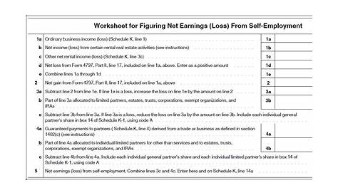 Worksheet For Figuring Net Earnings Loss From Self Employment - Nidecmege