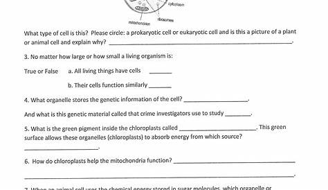 9Th Grade Science Worksheets Free Printable - Lexia's Blog