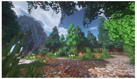 what does custom biomes do in minecraft