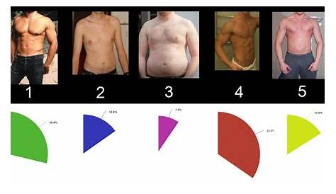 man body type chart