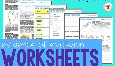 Evolution Evidence Worksheet - Worksheets For Kindergarten