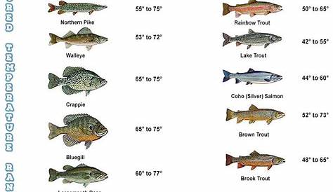 water temperature fishing chart