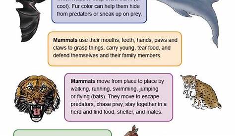 Grade 4 - Survival Traits of Plants and Animals - Structure and