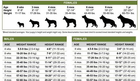 weight chart german shepherd