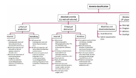 Classification of anemia according to pathophysiologic characteristics