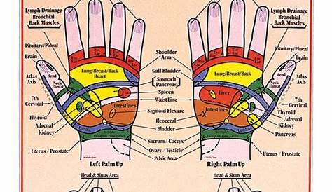hand and foot reflexology chart