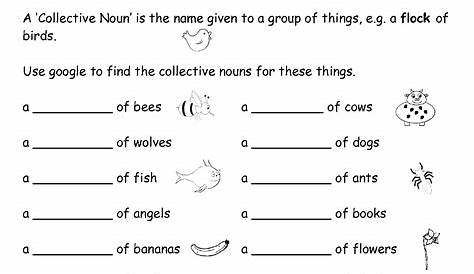 18 Best Images of Collective Nouns 2nd Grade Worksheet - Collective