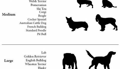 Size Chart | Puppies, Aggressive dog, Dog raincoat