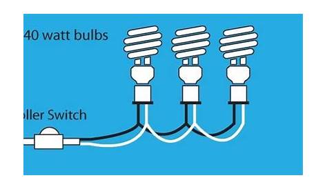 Wiring a 3 bulb lamp | Bulb, Lights, Lamp