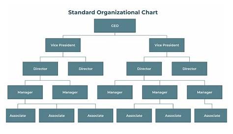 Comité flaco posibilidad company organizational structure chart