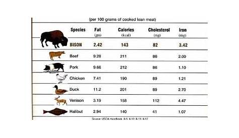 bison meat nutrition