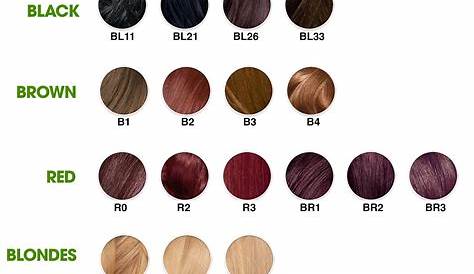 garnier hair color chart