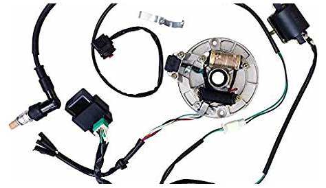 pit bike wiring harness diagram